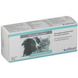 ReConvales® Power für Hunde und Katzen