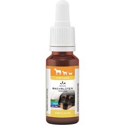 Lemon Pharma Original Bachblüten Erste Hilfe