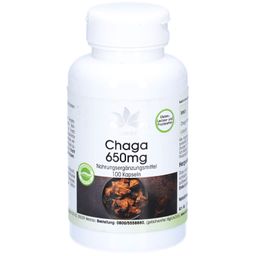 Warnke Chaga 650 mg
