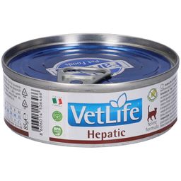Nassfutter Farmina VetLife Hepatic - Katze Adult