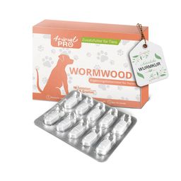 Wormwood | pflanzliche Hunde Tabletten für Darm& Verdauung | kurweise anwendbar