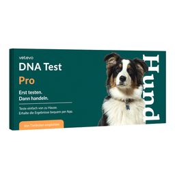 DNA Test Rassebestimmung Pro Hund