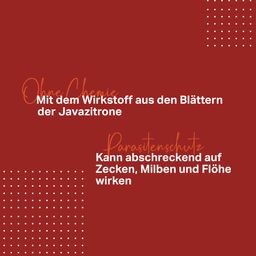 Medidog SPOT ON 50 ml