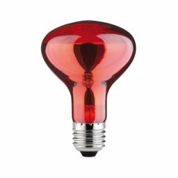 Paulmann REFLEKTORLAMPE R80 60W E27 (829.77 INFRAROT)