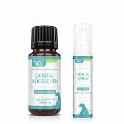 Animal Pro Dental Duo – Für die tägliche Maulpflege von Hunden & Katzen