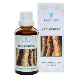 Evolution Yamswurzel Tinktur