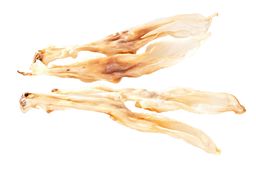 mascota vital - Kaninchenohren