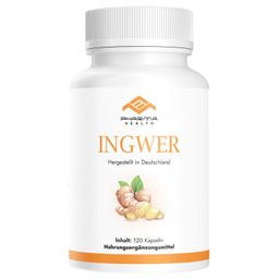 Ingwer 120 Kapseln | 1000 Mg Tagesdosis | HOCHDOSIERT