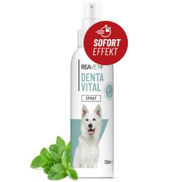 Denta Vital Spray für Hunde - ReaVET