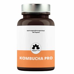 Kombucha Kapseln mit Vitamin E - Hochdosiert von VitaminFuchs