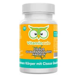 Cissus Quadrangularis Kapseln - 400 mg 10:1 Extrakt - Vitamineule®