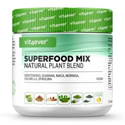 vit4ever Ballaststoff Mix