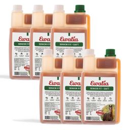 EWALIA Senior Fit Saft für Pferde
