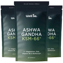 wellbe Ashwagandha KSM-66® – Mit Magnesium, Zink & Vitamin B6