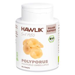 Hawlik Polyporus Pulver Kapseln