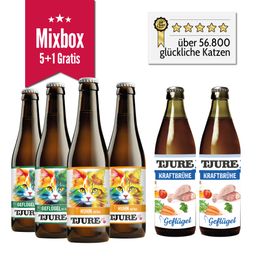 Tjure Katze Mix-Box 5 + 1