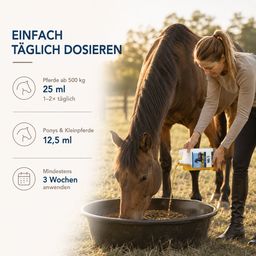 Happy Horse Ausdauer
