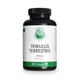GREEN NATURALS® Tribulus Terrestris hochdosiert - 2250 mg pro Tagesdosis - vegan