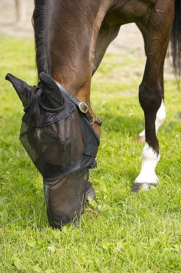 Equi-Theme Fliegenmaske mit Ohren und Maulteil schwarz