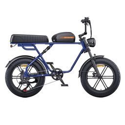 ENGWE M1 20 Zoll Elektro-Dirtbike mit 48 V 15,6 Ah Akku, 250 W