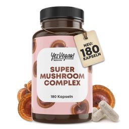 Pilz Komplex mit B2 B5 B6 mit 7 Pilzen Lions mane, Reishi Pilz, Cordyseps, Chaga, hericium erinaceus