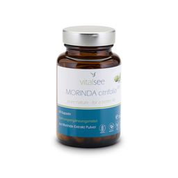 Vitalsee MORINDA citrifolia 300 Extrakt