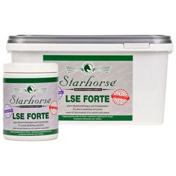 Starhorse LSE Forte