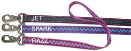 Weaver Hundehalsband Hunt & Sport Plus Premium Geschirrleder, 2,5 cm breit