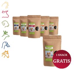 Tjure Hund Snack Box All in One