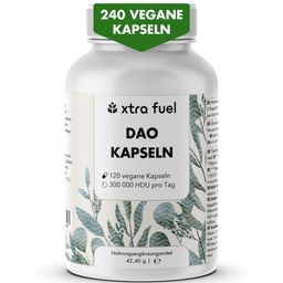 XTRA FUEL DAO DiAminOxidase 300.000 HDU Kapseln