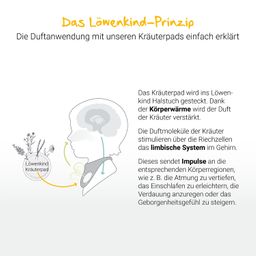 LÖWENKIND 5er-Dosen-Set für die Erkältungszeit, Zahnen, Schlafprobleme und ein gutes Bauchgefühl