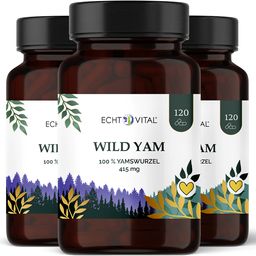Echt Vital Wild Yam