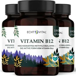 Echt Vital Vitamin B12