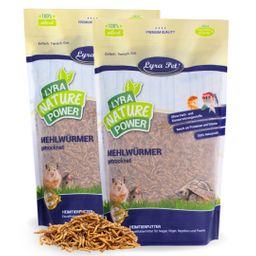 Lyra Pet® Mehlwürmer getrocknet