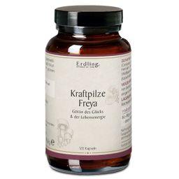Erdling Kraftpilze Freya - Vitalpilz Synergetikum