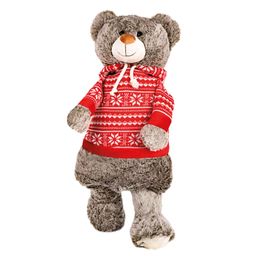 Sänger Wärmflasche Plüschtier Bär Theo