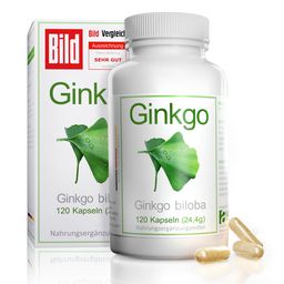 avenar pharma® Ginkgo biloba Kapseln Blattpulver als Extrakt | Fokus Konzentration