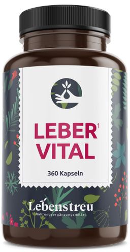 Leber Komplex extra stark (360 Kapseln XL Vorrat) Mariendistel Artischock Cholin Abnehmen Testsieger