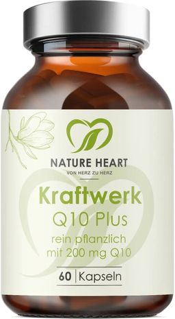 Kraftwerk Q10 Plus