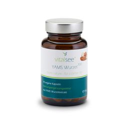 Vitalsee YAMS Wurzel 300 Extrakt