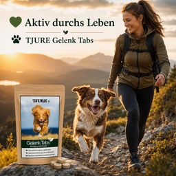 Tjure Gelenktabs