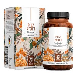 Pilz Komplex Vitamin B2 Chaga Vitalpilze Shiitake Extrakt 120 vegane Kapseln Pilzkraft NATURTREU®