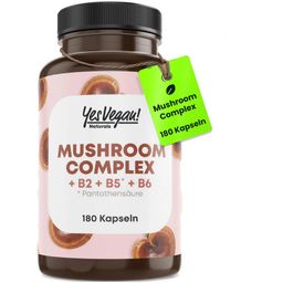 Super Mushroom Vitalpilz Complex (180 Kapseln) mit B2 B5 B6 + Lions Mane, Reishi, Cordyseps uvm