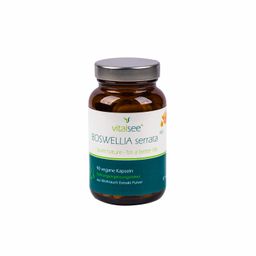 Vitalsee BOSWELLIA serrata 400 Extrakt