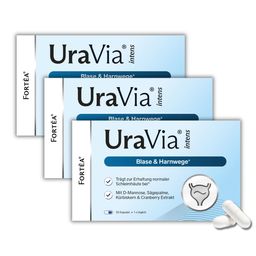 FORTEA® UraVia® intens – Blase & Harnwege