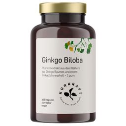 Kurkraft© Ginkgo Biloba
