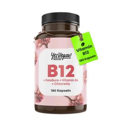 Vitamin B12  hochdosiert mit 500 µg (180 Kapseln = 6 Monate) mit Co-Faktoren B6 und Folsäure I vegan