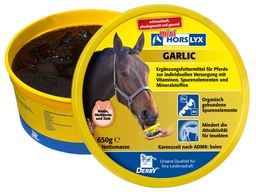 Derby HORSLYX Leckmasse Garlic