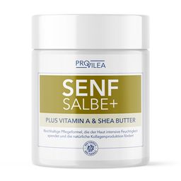 Provilea Senfsalbe