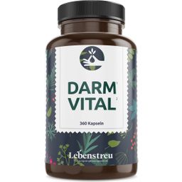 Darm Vital Probiotika Kapseln (360 Kapseln XL Vorrat) mit 20 Darmbakterien Stämme magensaftresistent
